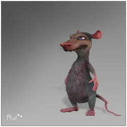 Rat