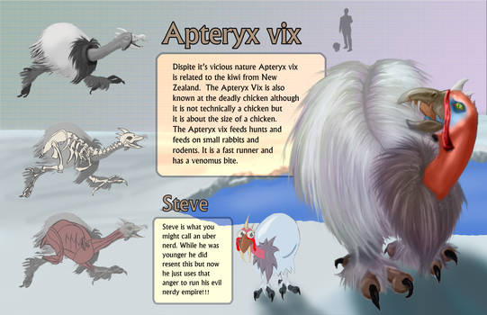 Apteryx vix