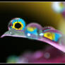 Water droplets ::::