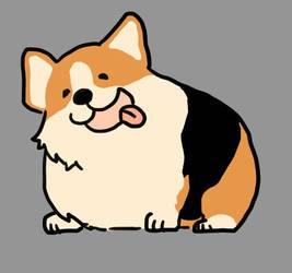 Corgi