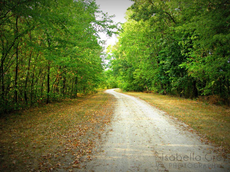 Peaceful Path