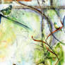 Abstract + Birds: Optimized