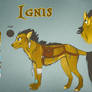 .: Ignis ref- 2015 :.