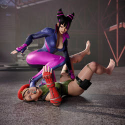 Juri vs Cammy - Trampled Under Foot