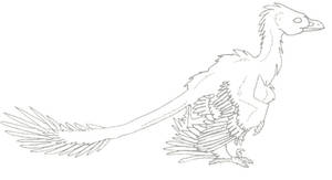 Microraptor lineart