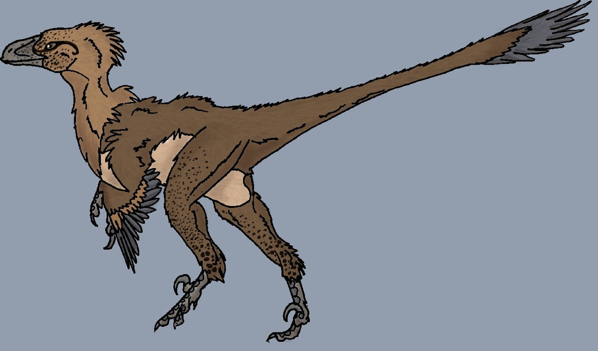 Floofy Utah Raptor Utahraptor by BlueFluffyDinosaur on DeviantArt
