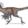 Velociraptor