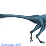 Troodon female