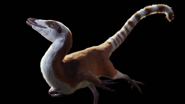 Sinosauropteryx prima