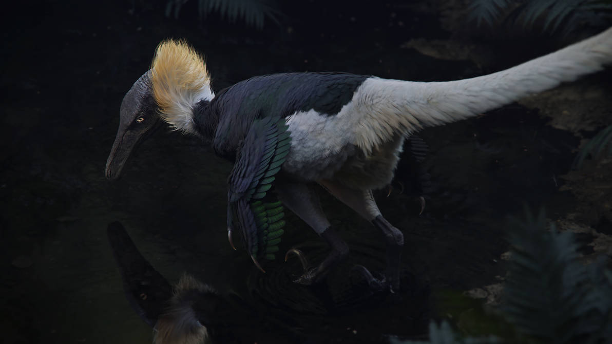 Pyroraptor Color Real Pyroraptor by BlueFluffyDinosaur on DeviantArt