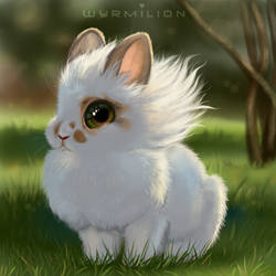 Bunny study5