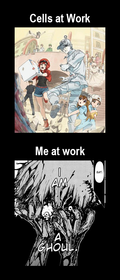 Anime Artist Meme by DestinyBlue on DeviantArt