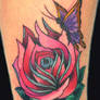 Butterfly and Rose