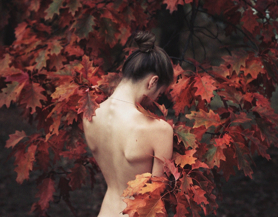 conversation with leaves by baravavrova conversation with leaves by baravavrova