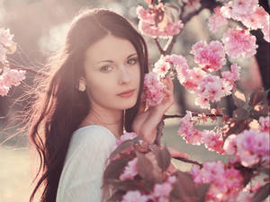 spring by baravavrova spring by baravavrova