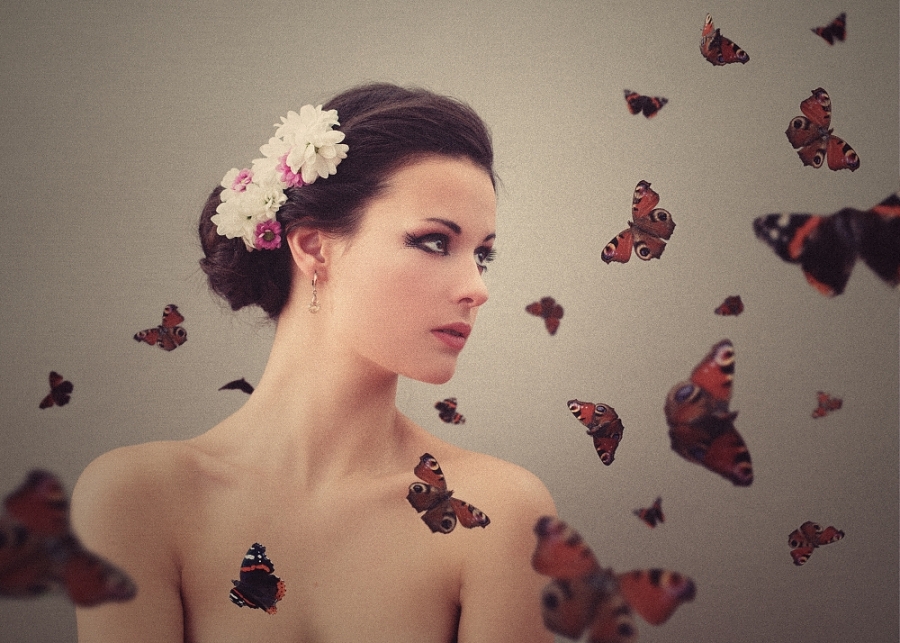 butterflies