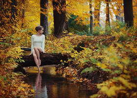 lonely autumn