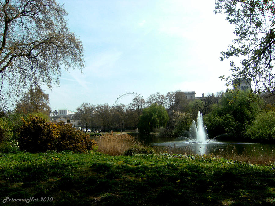 Water Fountain in the Lake