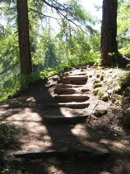 Natural Staircase