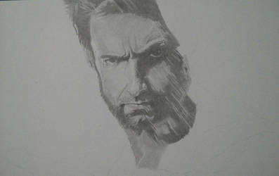 The Wolverine ( WIP )