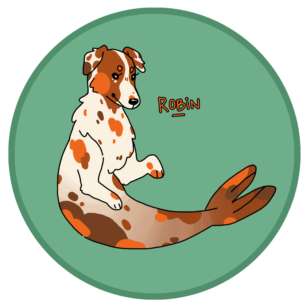 [ADOPTED] Merpup: Australian Shepherd/Harp Seal