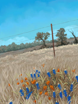 Bluebonnet Patch