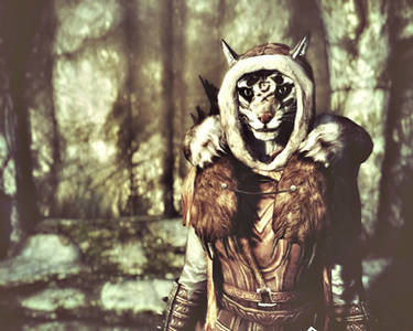 Skyrim Khajiit