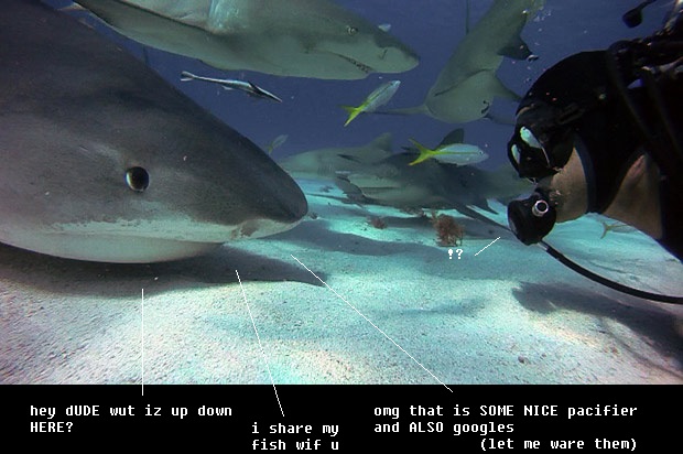 Iam Shark Selfies #001