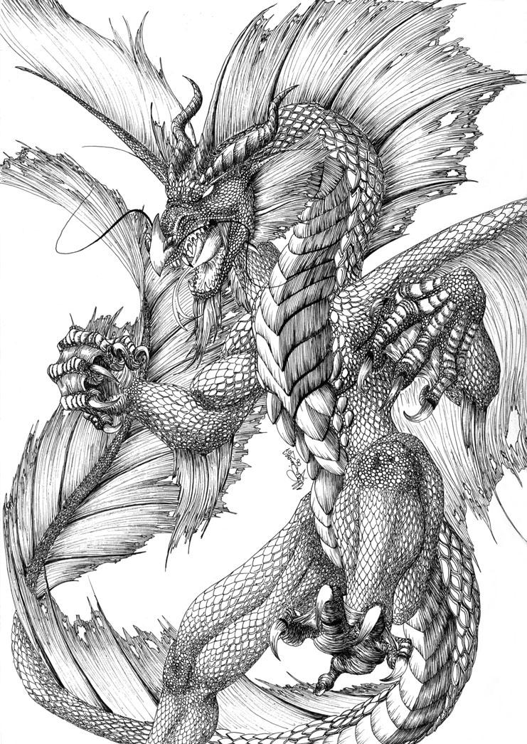 Dragon graphics. Дракон Рюдзин Япония. Дракон тату эскиз. Мифические драконы. Дракон рисунок карандашом.