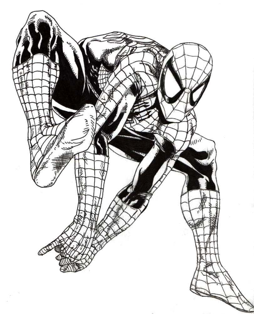 Spidey Sketch 1