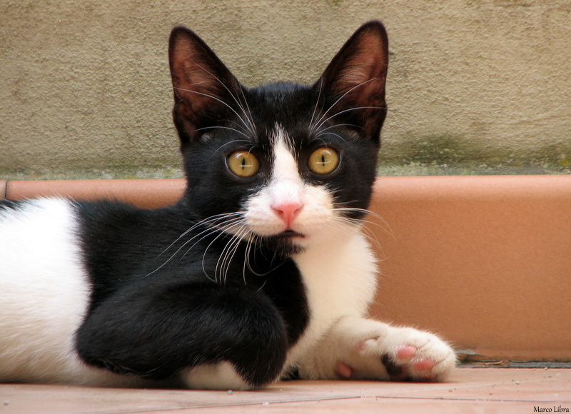 Michael, about 3 months old