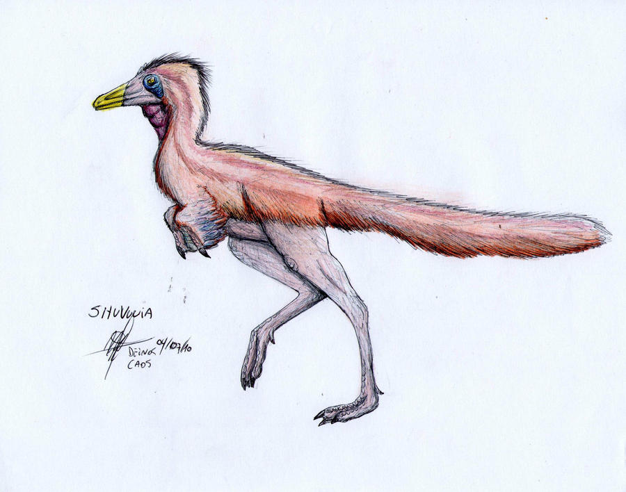 Shuvuuia By Deinoscaos On DeviantArt shuvuuia-by-deinoscaos-on-deviantart