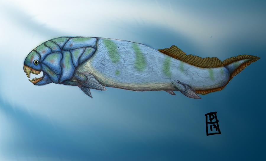 Dunkleosteus color