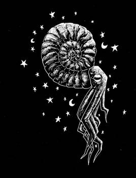 ammonite of the cosmos