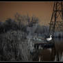 Fairburn Ings Take Two