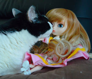 my pullip gaby and my cat