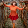 velma dinkley