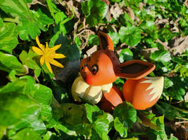 EEVEE in the FIELD