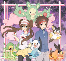 .Pokemon BW 2.