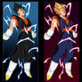 Super Vegetto and Vegetto