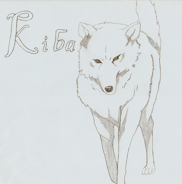 Wolfs Rain-Kiba