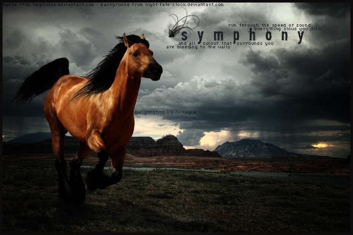 Symphony