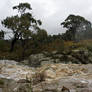 Flooded Creek 6