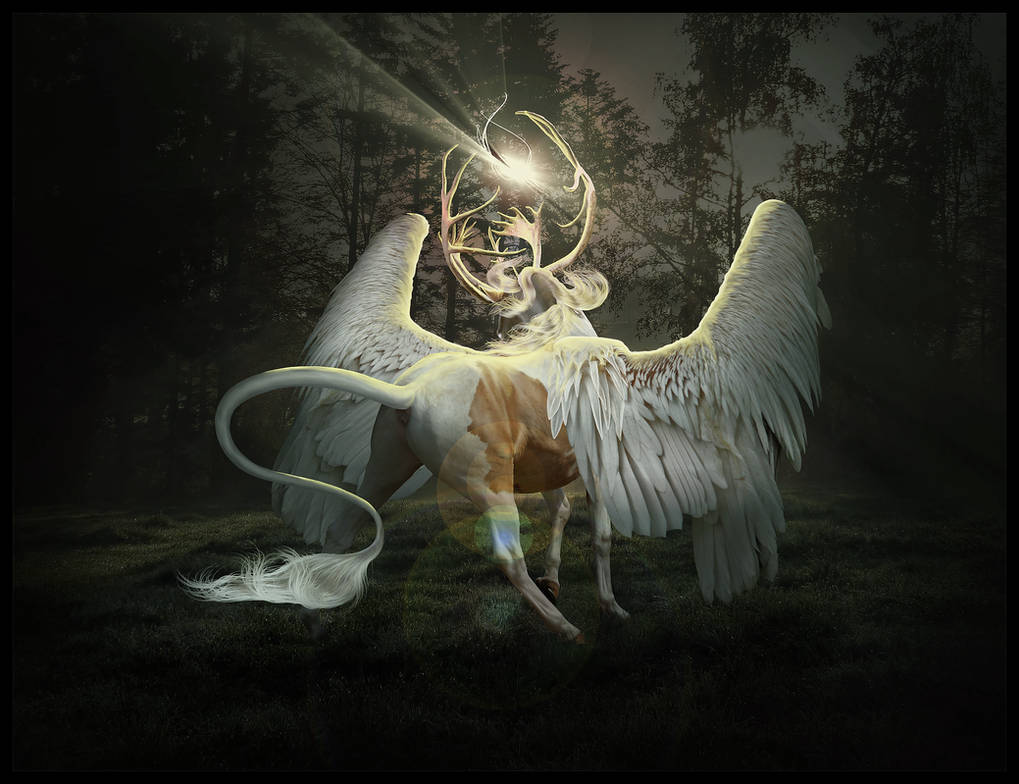 The Blind Prince by Nikkayla