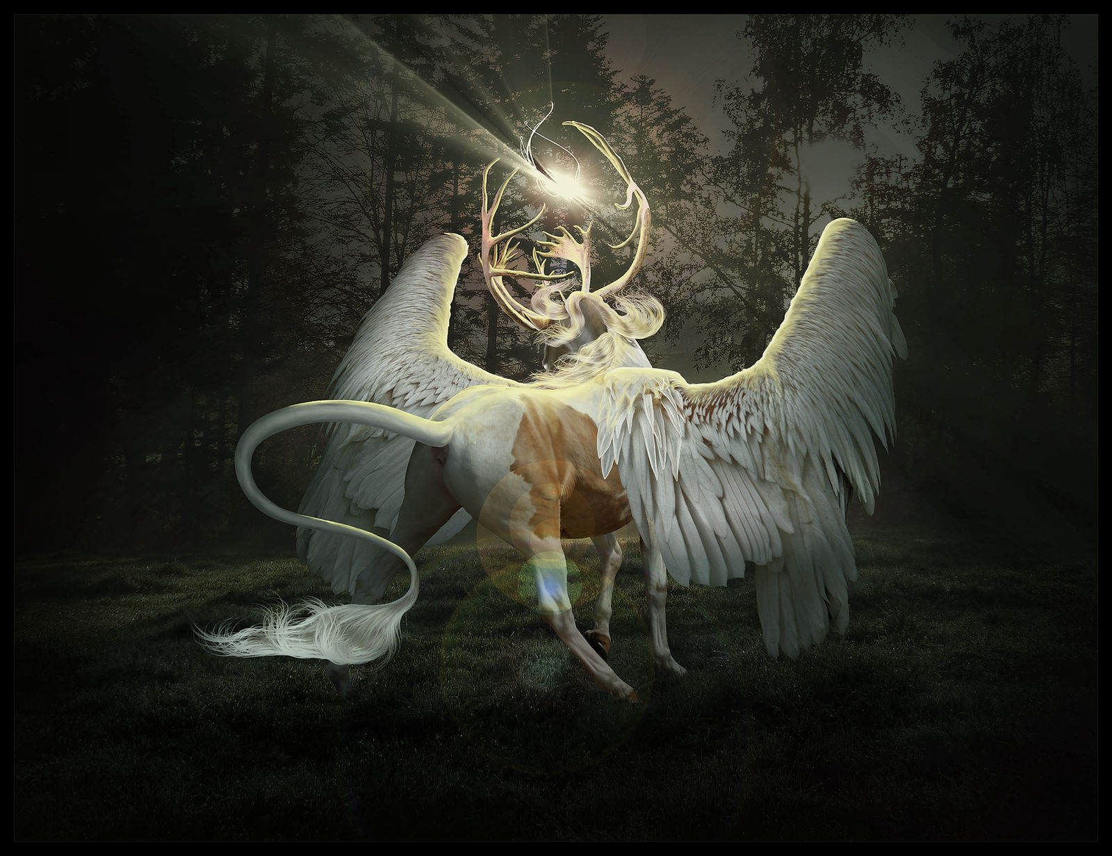 The Blind Prince by Nikkayla
