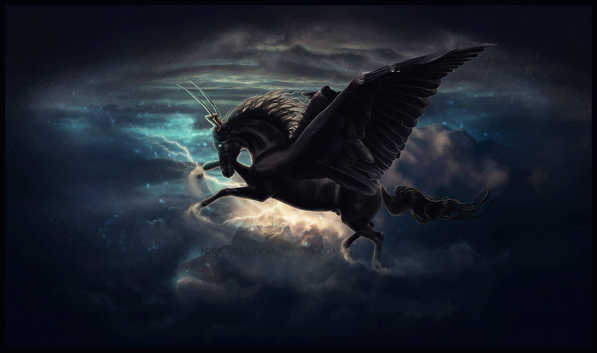 the shadow of your heart by Nikkayla the shadow of your heart by Nikkayla