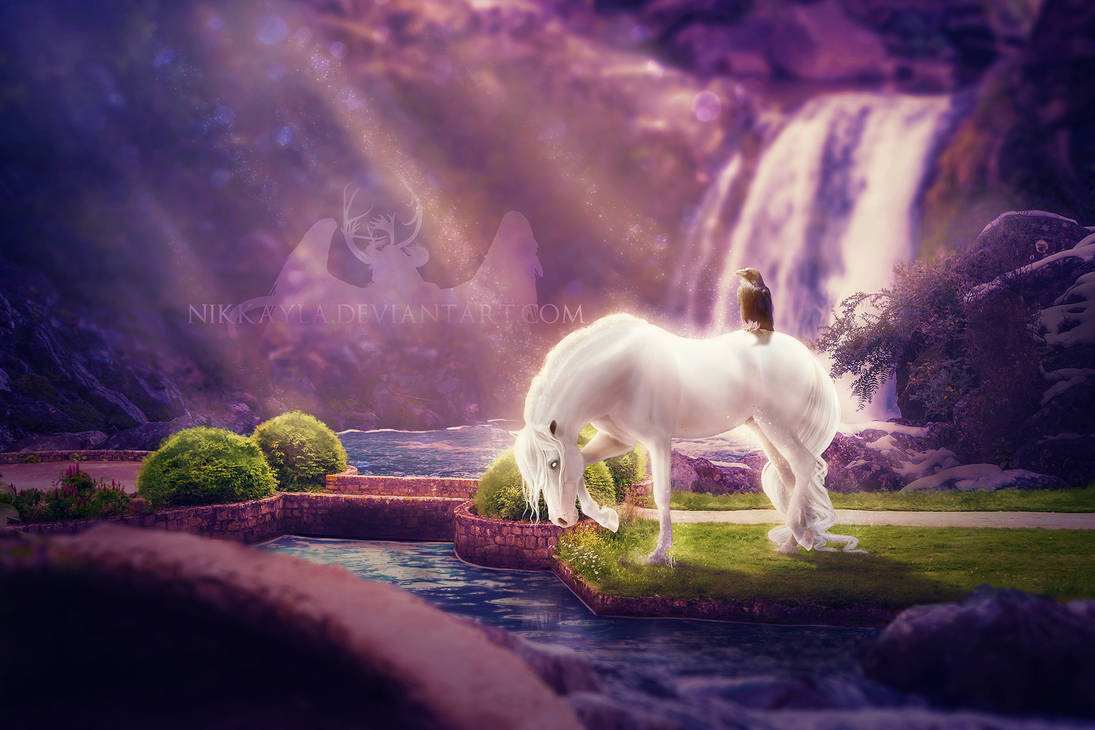 REVELATION IN THE LIGHT by Nikkayla REVELATION IN THE LIGHT by Nikkayla