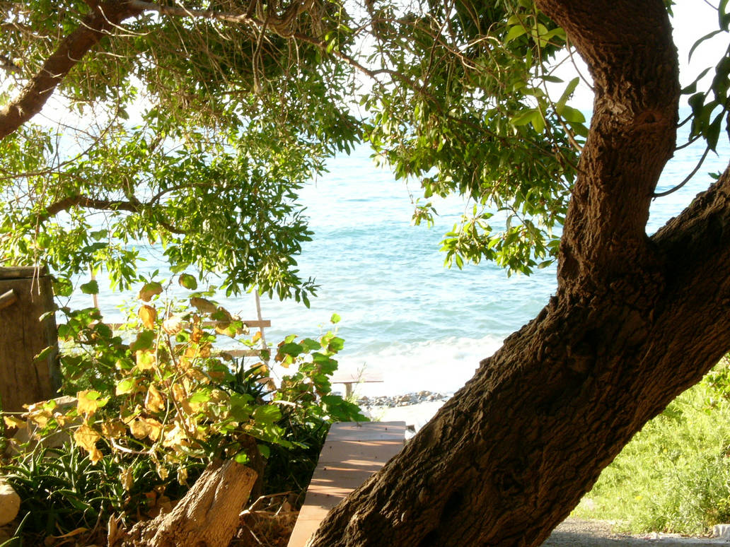 Paradise by iQtec on DeviantArt