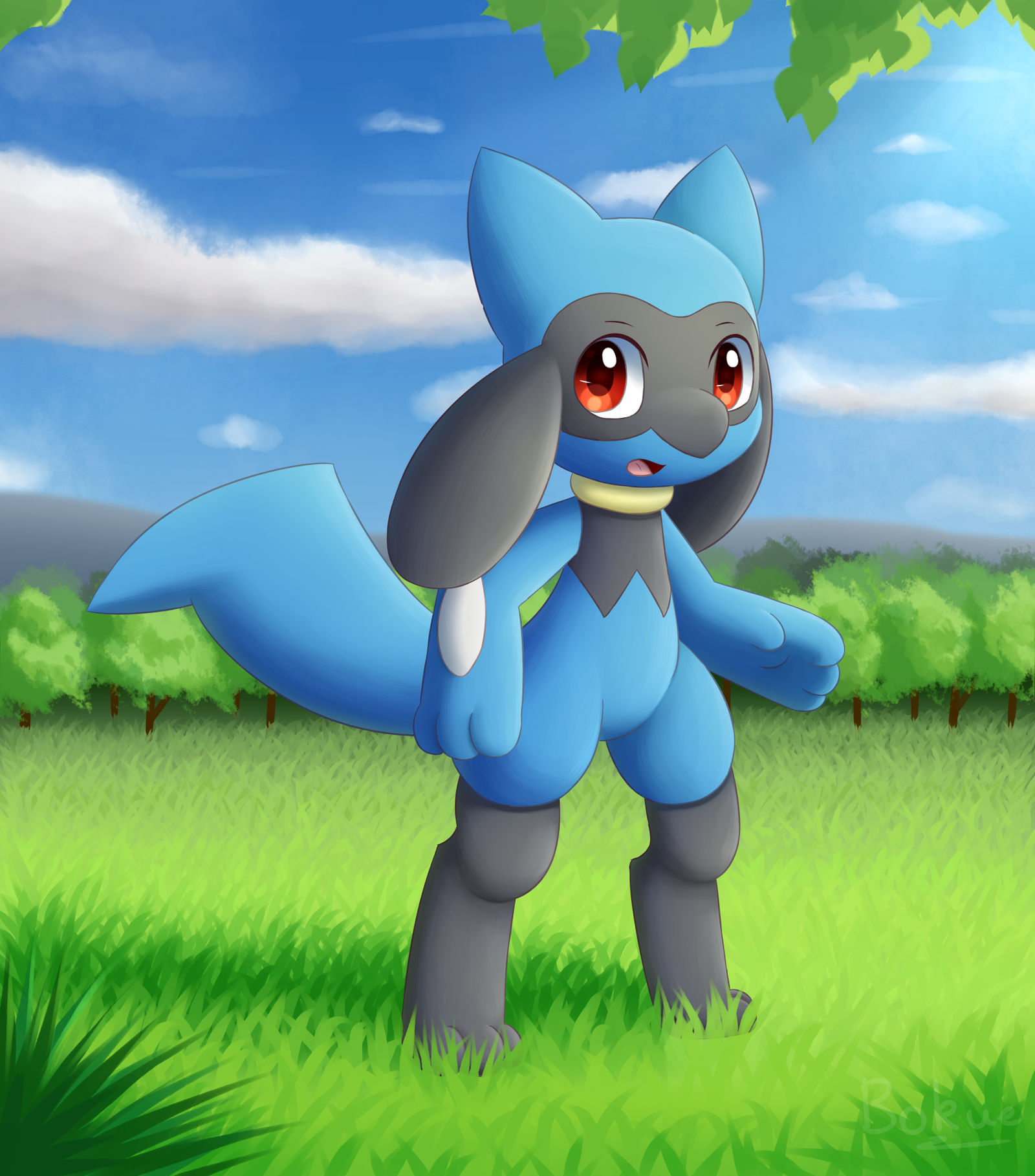 Riolu by Bokue on DeviantArt