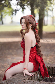 Aerith at Don Corneo's manson - FFVII cosplay